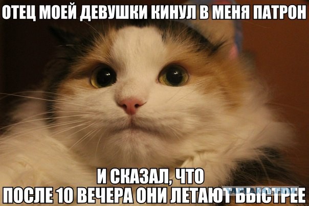 Пятничная подборка