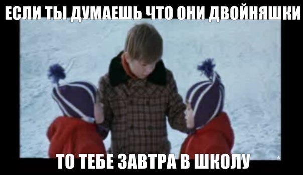Верьте или нет, но они близнецы., одна пикча