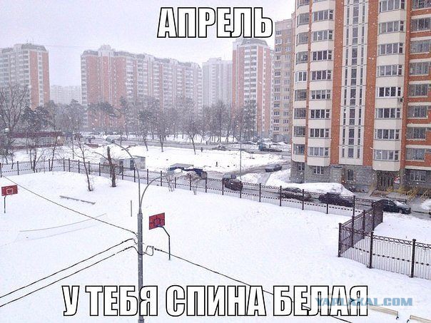 Веселые картинки на пятницу