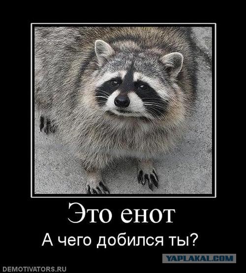 Буддийская притча