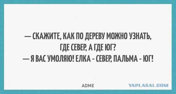 Смешные комментарии 10.05.2015