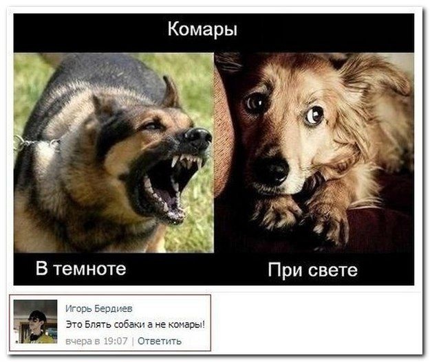 Смешные комментарии из социальных сетей