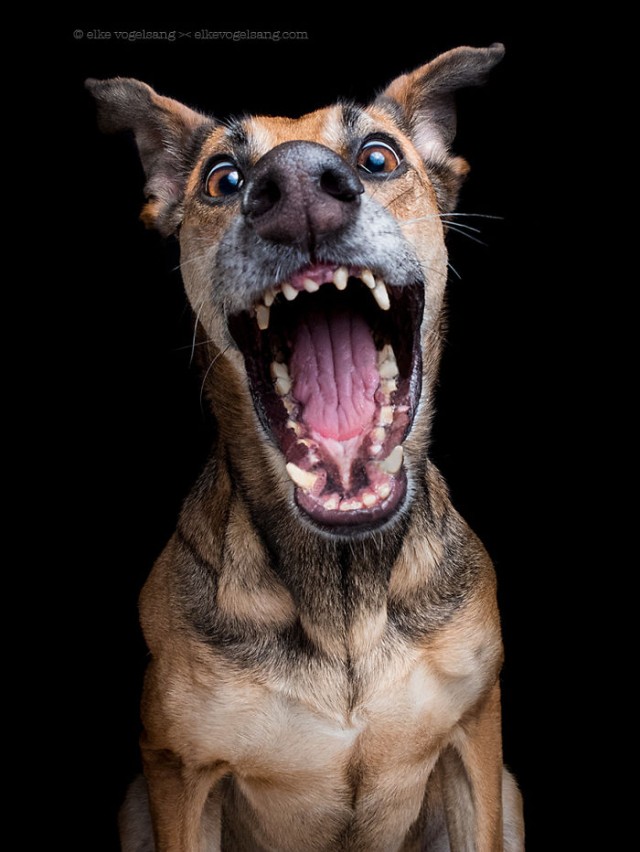 Милоты пост