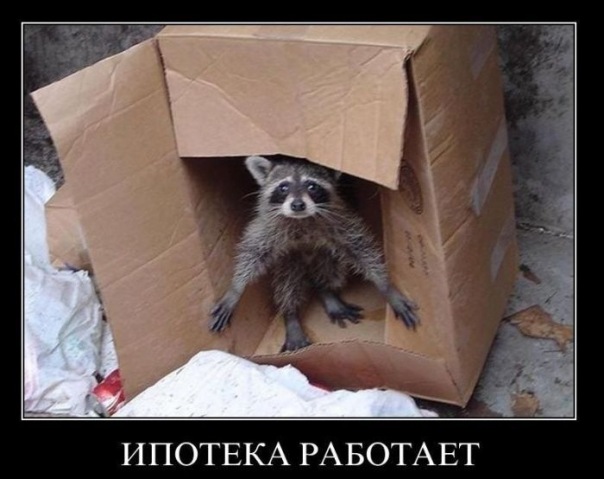 Разработаны безвоздушные всепогодные шины
