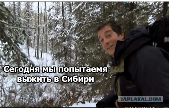 Беар Гриллс выживает в Сибири