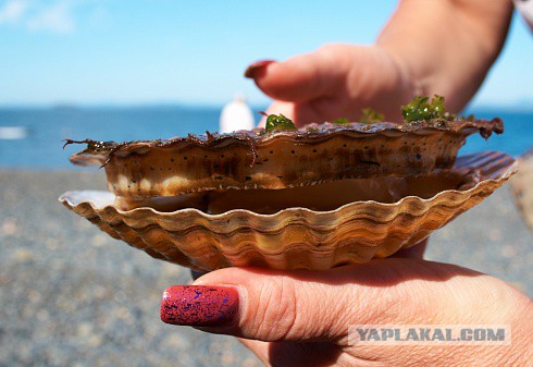 Забытые деликатесы возвращаются в русскую кухню