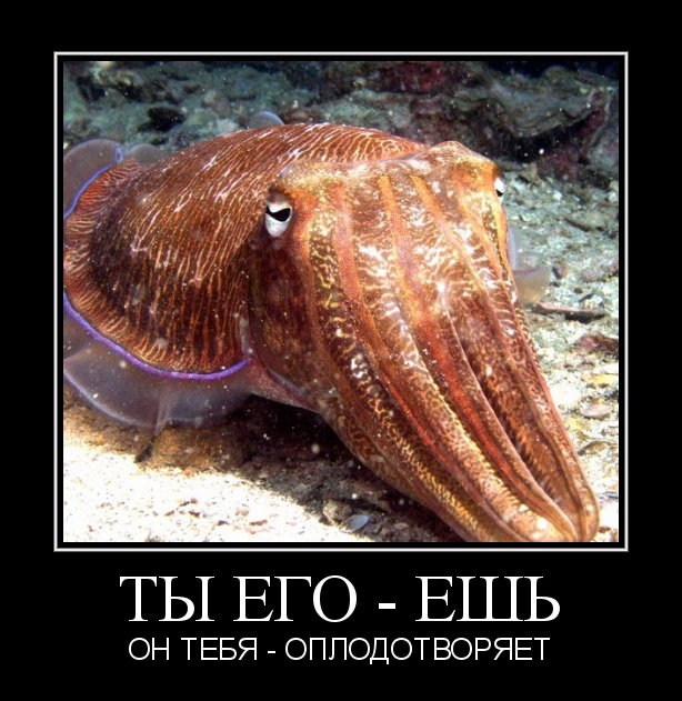 Такое тоже бывает.