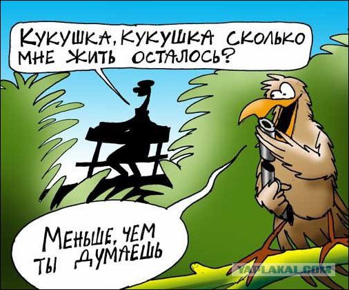 Минутка черного юмора на ЯПе