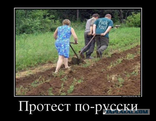 Веселые картинки