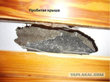Какова вероятность того что к вам залетит метеорит