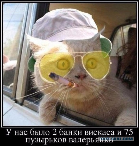 Картинки набрались разные