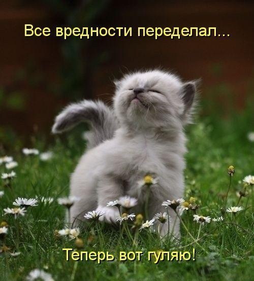 Картинки и демотиваторы
