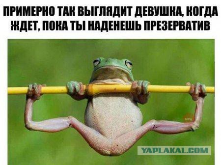 Прикольные картинки
