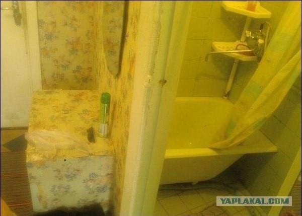 Зашел к другу в туалет, а там...