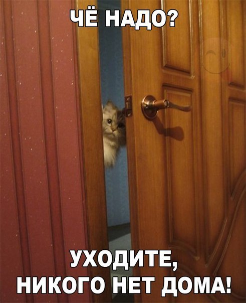 Злые шутки или минутка сарказма на ЯП-е, 16+