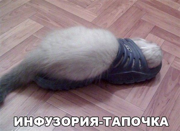 Картинки из ваших этих итернетов...