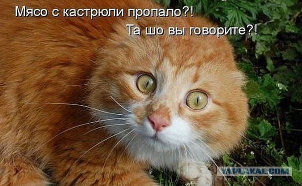 Очередная подборка картинок из интернета