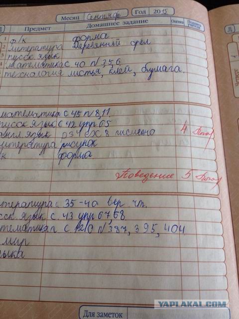 Записи в школьных дневниках