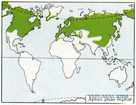 20 фото со всего мира, удивительно напоминающих Россию