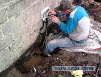 Слабоумие и отвага