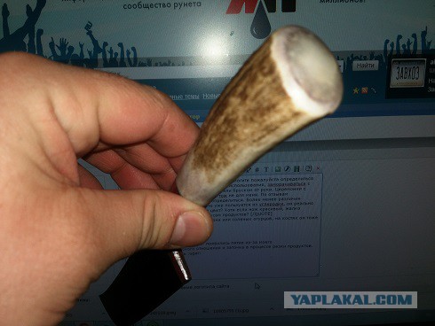 Продам Пчаки