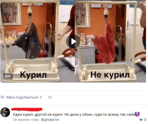 Картинки с букофками