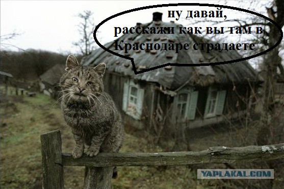Неизвестный Краснодар