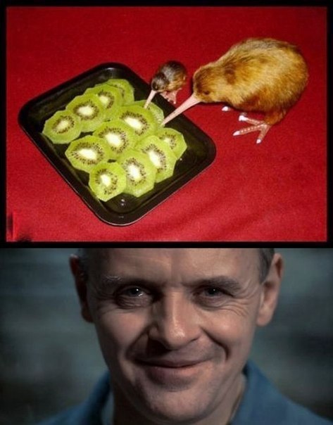 Юмор не для всех