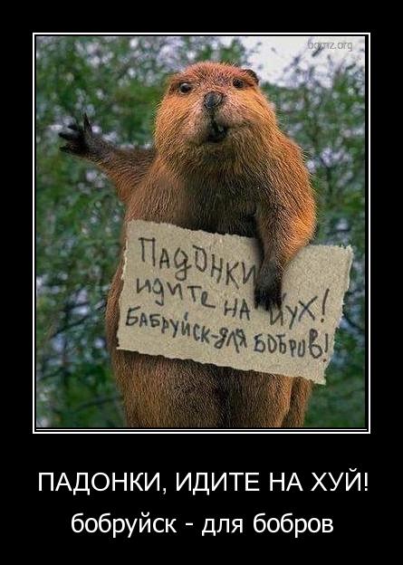 Продавщица из Бобруйска справила нужду не отходя от рабочего места