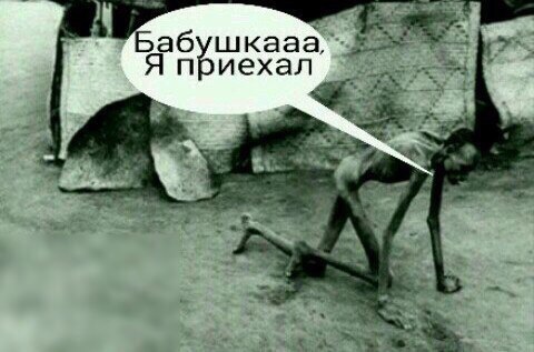 Поляна чёрного юмора и цинизма