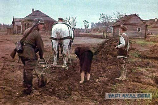 Баварское, говорите, пили бы?