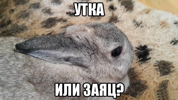 55 картинок из серии "Показалось"