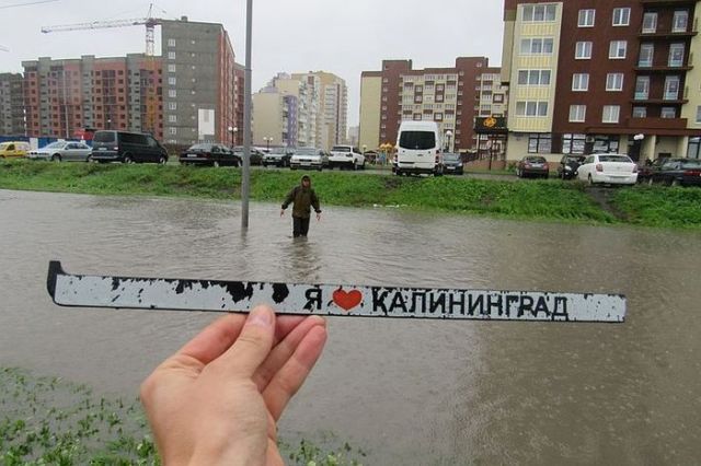 Подборка интересных и веселых картинок