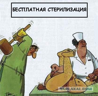 Деградация по-медицински