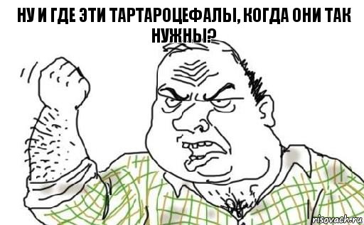 Татаро-монгольского ига не было