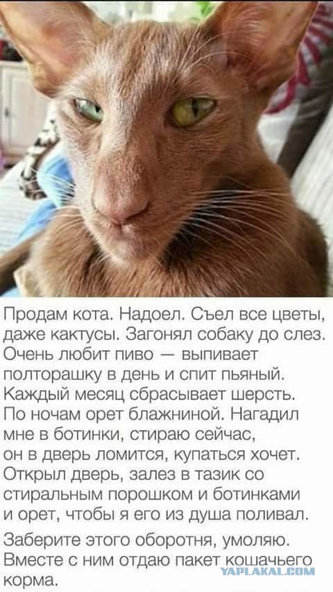 Тотальная анозогнозия