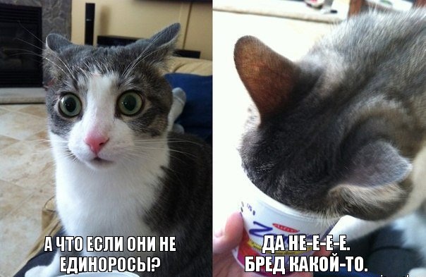 Семейные ценности Георгия Полтавченко или у сестры невестки губернатора откуда-то появился лишний миллиард