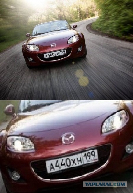 Да ты упоротый!