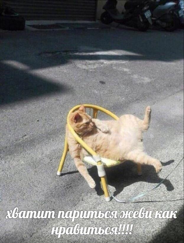 Картинки по-приколу
