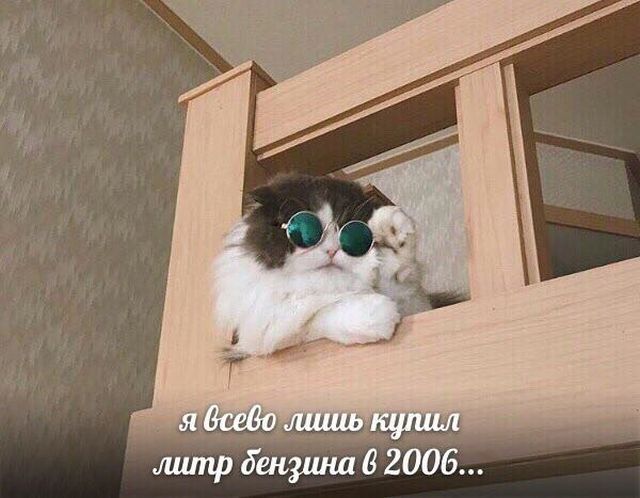 Нестандартный юмор