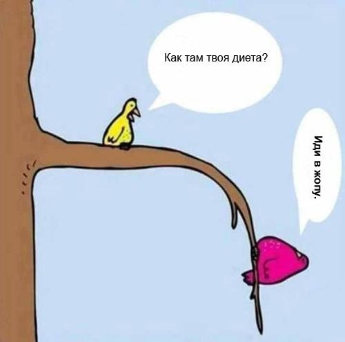 Всякие картинки