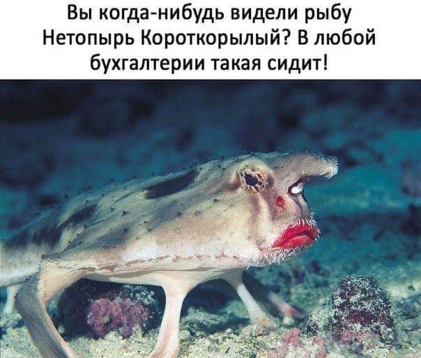 Адовая вакханилия и лютый трэш к этому понедельнику