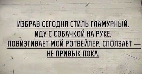 Каждый день