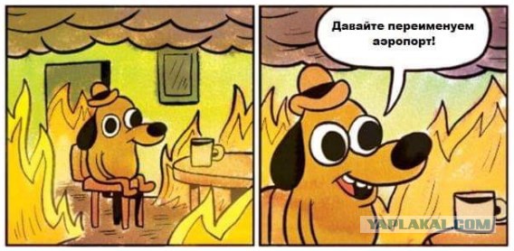 Путин присвоил трем московским аэропортам имена великих россиян. Всего их 44 по стране