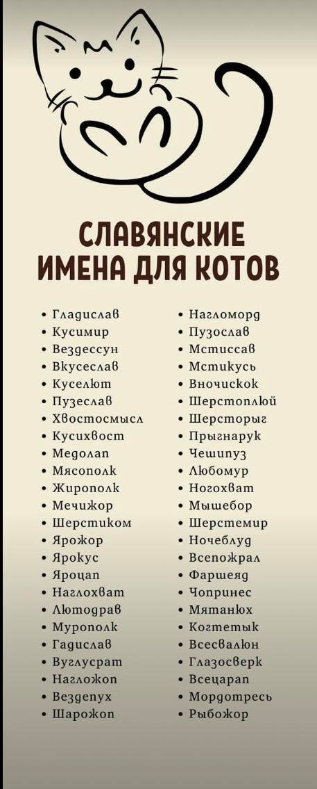 Подборка неинтересных и унылых картинок 09.11.19