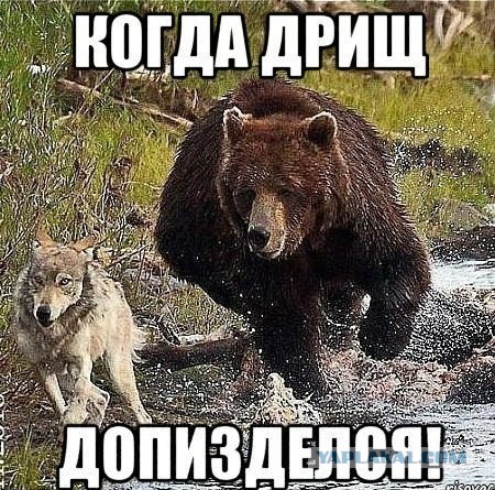 Зачем женщинам оргазм?