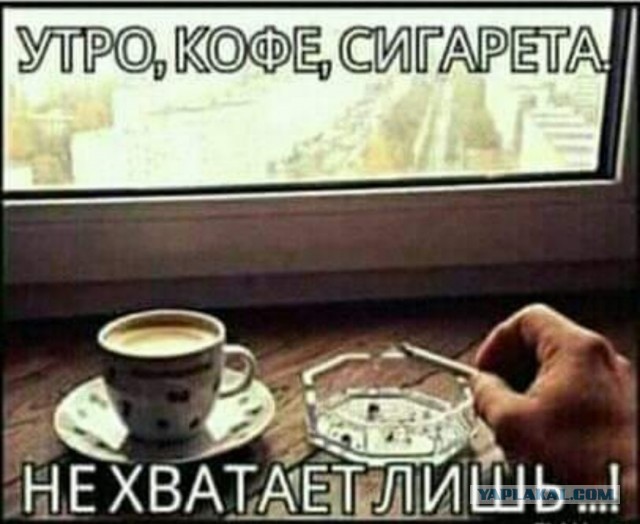 Бредзона 20.04.2020