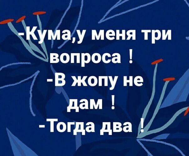 Бредзона 21.04.2020