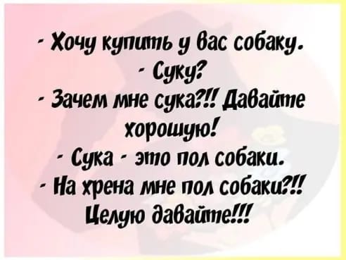Так себе картинки 10
