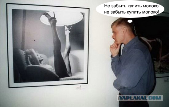 Фотожаба: Молодой ценитель